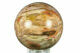 Colorful Petrified Wood (Araucaria) Sphere - Madagascar #286147-1